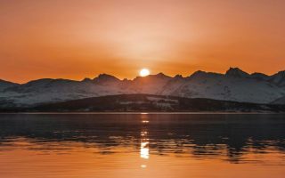 Five Reasons to Calm Your Nervous System