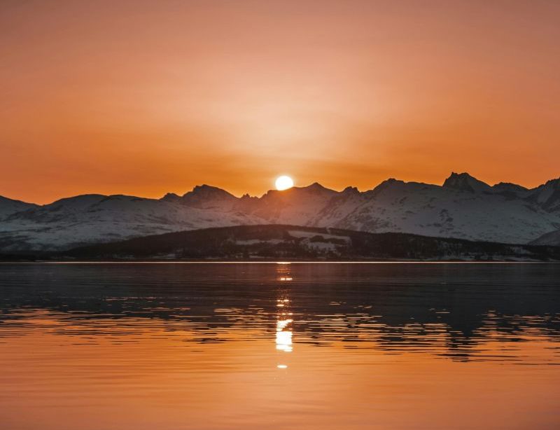 Five Reasons to Calm Your Nervous System