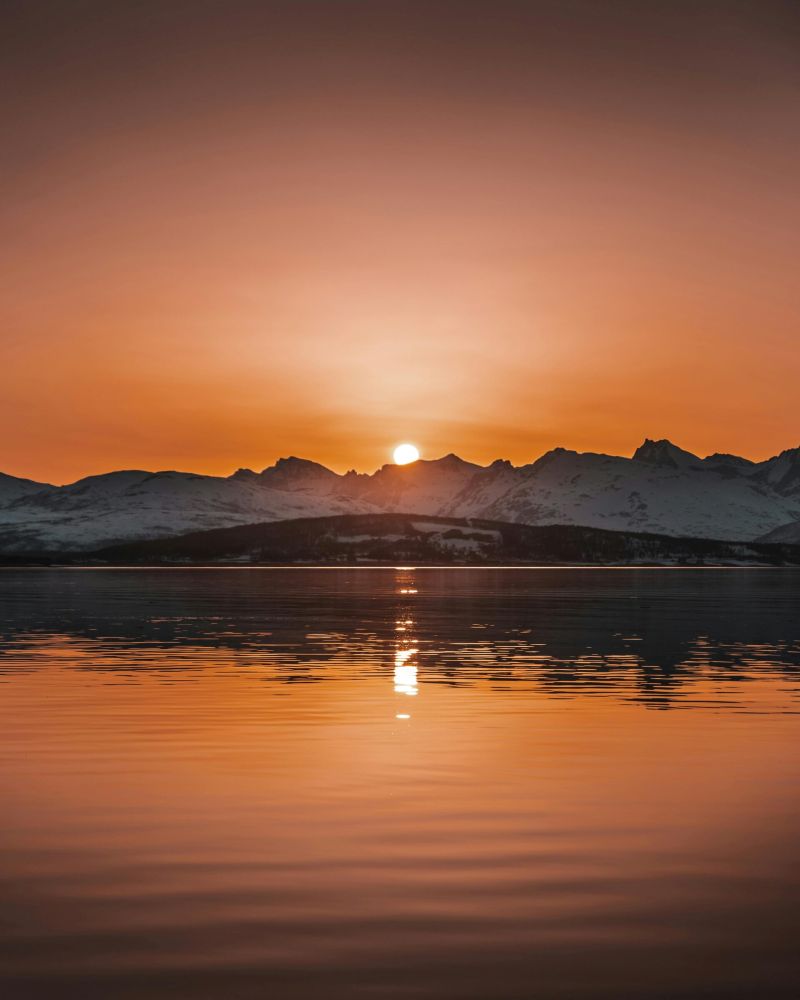 Five Reasons to Calm Your Nervous System - beauty and women lifestyle image