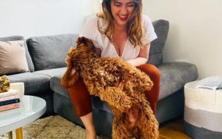 How to Know if CBD is Working for Your Dog?