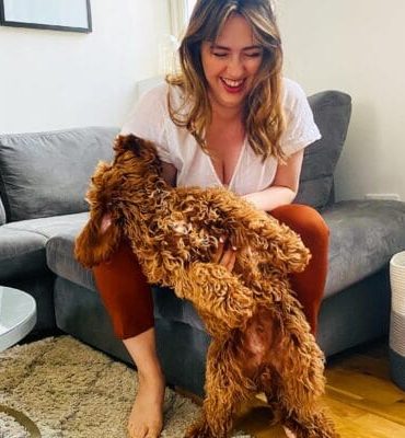 How to Know if CBD is Working for Your Dog?