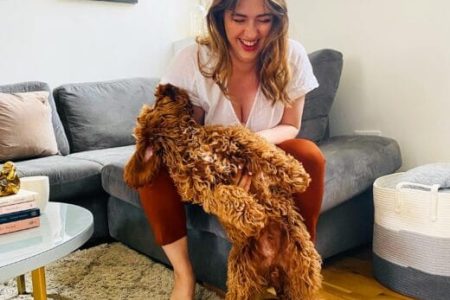 How to Know if CBD is Working for Your Dog?
