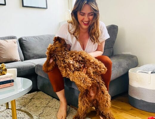 How to Know if CBD is Working for Your Dog?