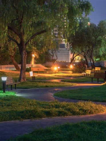 DEWENWILS-AMZ Pathway Lights vs Brass Landscape Lights: Which Low Voltage Option Lasts?