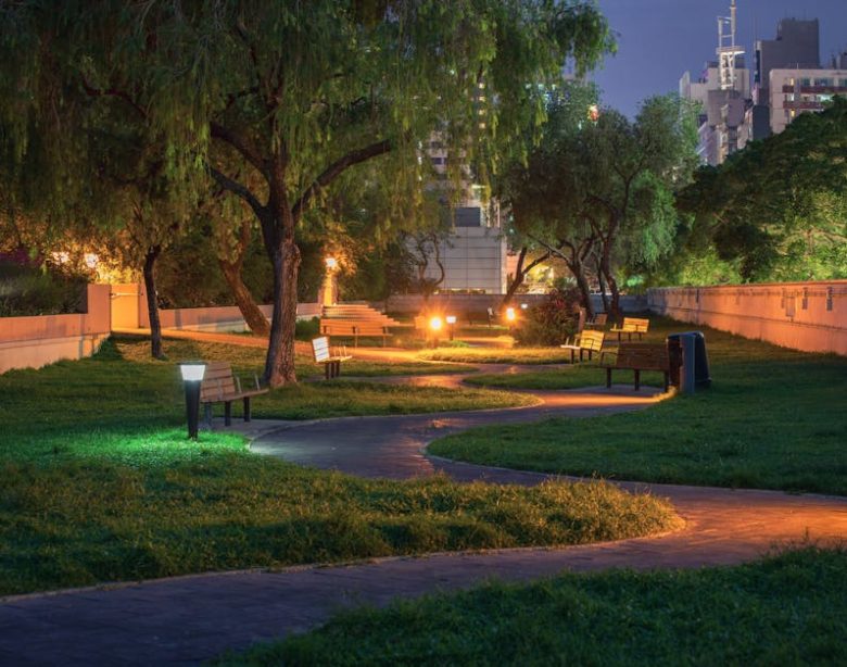 DEWENWILS-AMZ Pathway Lights vs Brass Landscape Lights: Which Low Voltage Option Lasts?