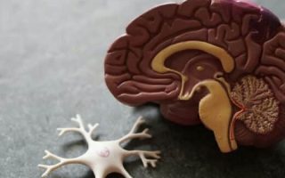Fighting Back Against “Mummy Brain”: 10 Tips That May Help