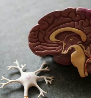 Fighting Back Against “Mummy Brain”: 10 Tips That May Help