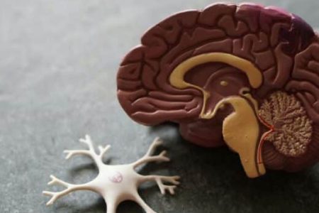 Fighting Back Against “Mummy Brain”: 10 Tips That May Help Fighting Back Against “Mummy Brain”: 10 Tips That May Help