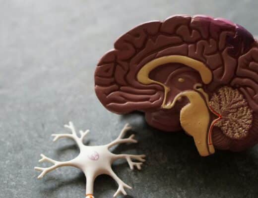 Fighting Back Against “Mummy Brain”: 10 Tips That May Help