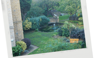 What I Miss About Having A Garden