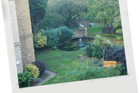 What I Miss About Having A Garden