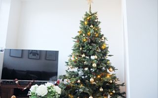 My Christmas Tree Look