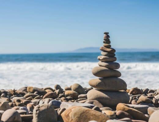 How to Create a Sustainable Wellness Routine with Natural Botanicals