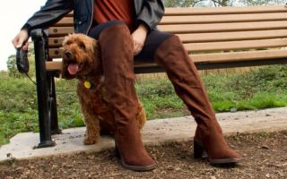 The Knee-High Brown Boots You Need This Autumn