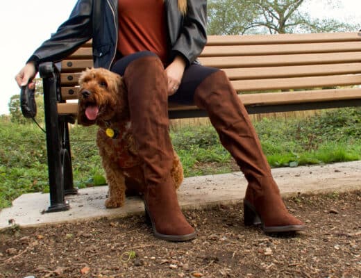 The Knee-High Brown Boots You Need This Autumn