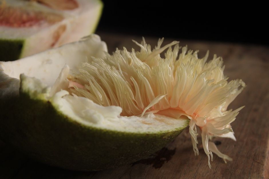 Detailed close-up of a ripe pomelo fruit showing its juicy segments and peel.