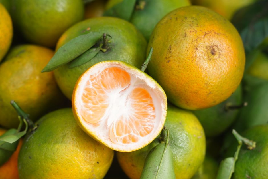 Close-up view of fresh oranges and a sliced one revealing juicy segments.